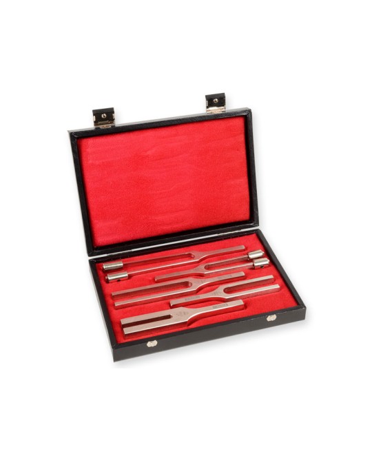 TROUSSE DIAPASON LEGA - 5 pezzi