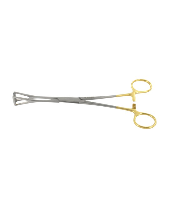 DUVAL C.T. - 20 cm