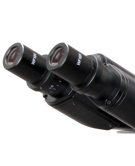 MICROSCOPIO BIOLOGICO 40-1600X