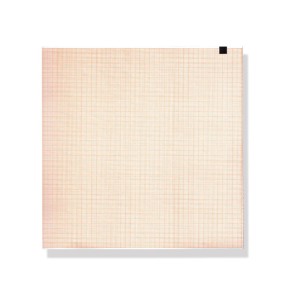 Carta termica ECG 210x295 mm - pacco da 150 f. griglia arancio