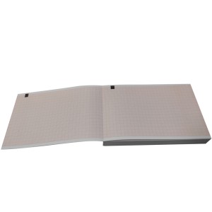 Carta termica ECG 100x150 mm x 200 - pacco griglia arancio