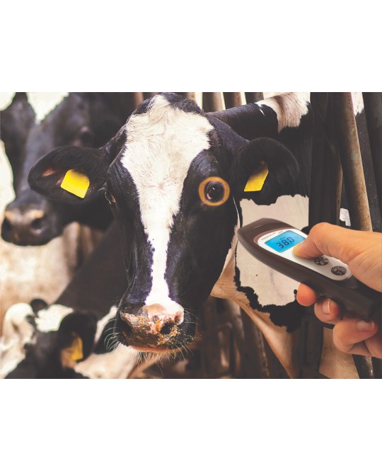 TERMOMETRO A DISTANZA VETERINARIO VISIOFOCUS con Bluetooth