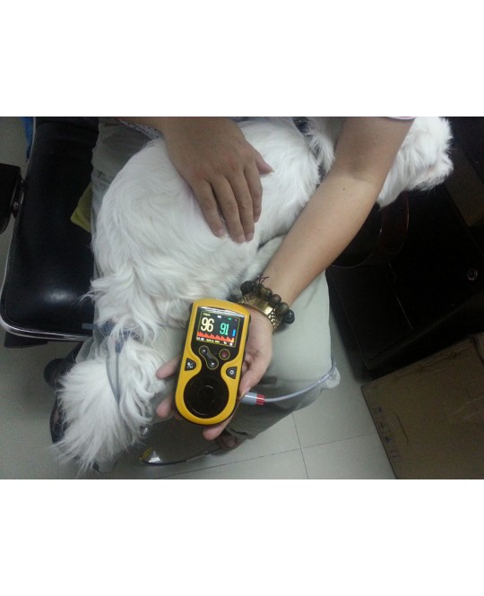 PULSOXIMETRO OXY-100 VETERINARIA
