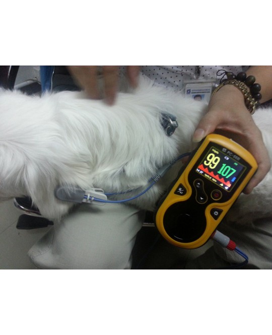 PULSOXIMETRO OXY-100 VETERINARIA
