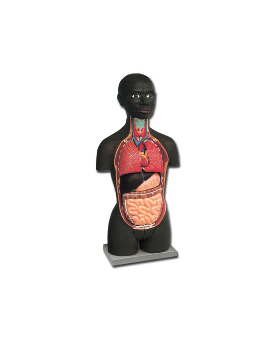 MINI TORSO - AFRICANO - 16 parti