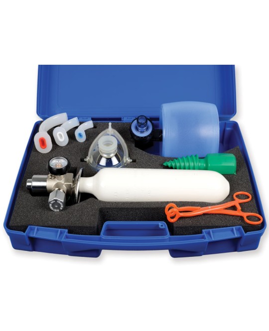 CASSETTA SPEED-1 - con bombola UNI (vuota)