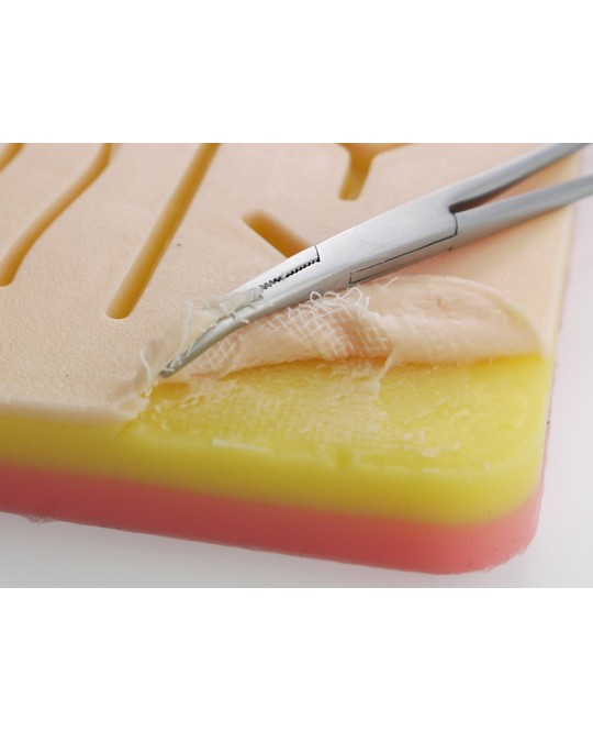 PAD ESERCITAZIONE SUTURA CON RETE