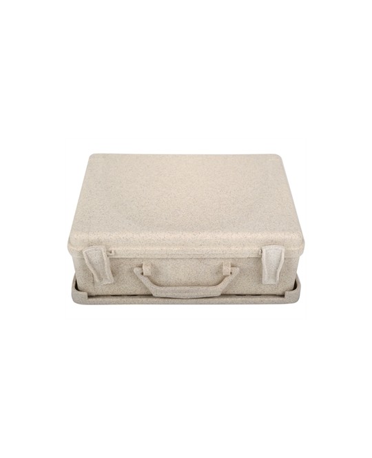 CASSETTA ECOLOGICA FUTURA - beige