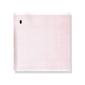 Carta termica ECG 215x280 mmxm - pacco griglia arancio