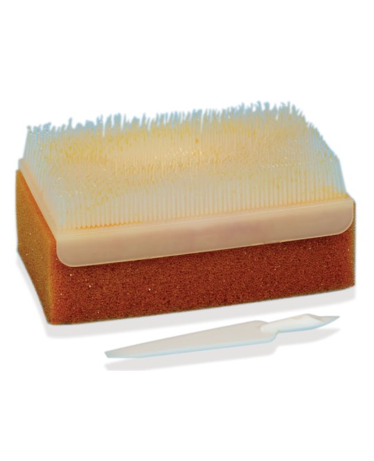 KIT SPAZZOLA PVP-IODINE - pack multilingue