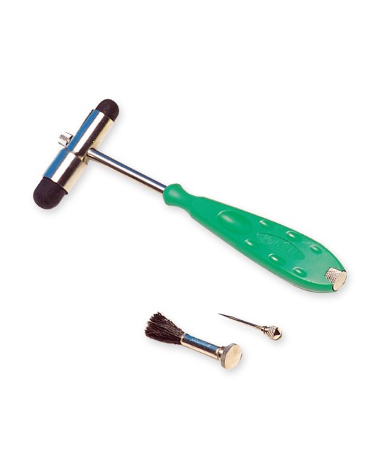 MARTELLO NEUROLOGICO 