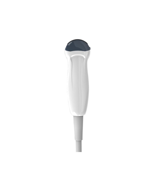 SONDA MICRO CONVEX 6 MHz per ECO1/2/3/5/6