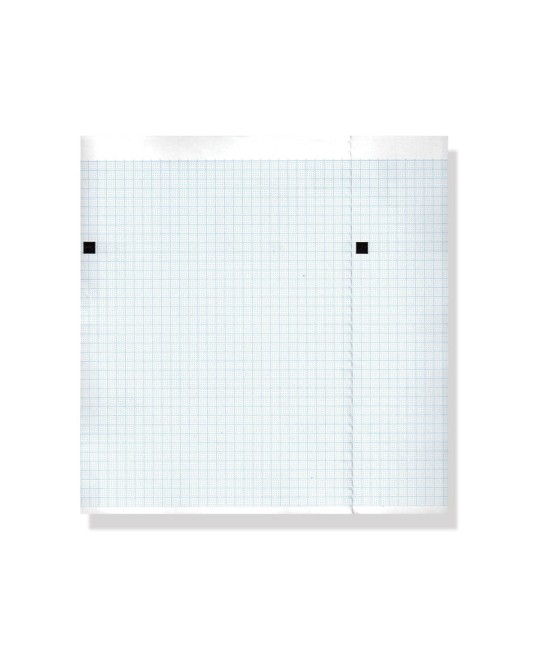 Carta termica ECG 210x150 mmxm - pacco griglia blu