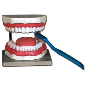 MODELLO IGIENE DENTALE