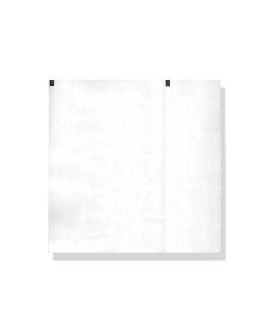 Carta termica ECG 210x140 mmxm - pacco griglia bianca