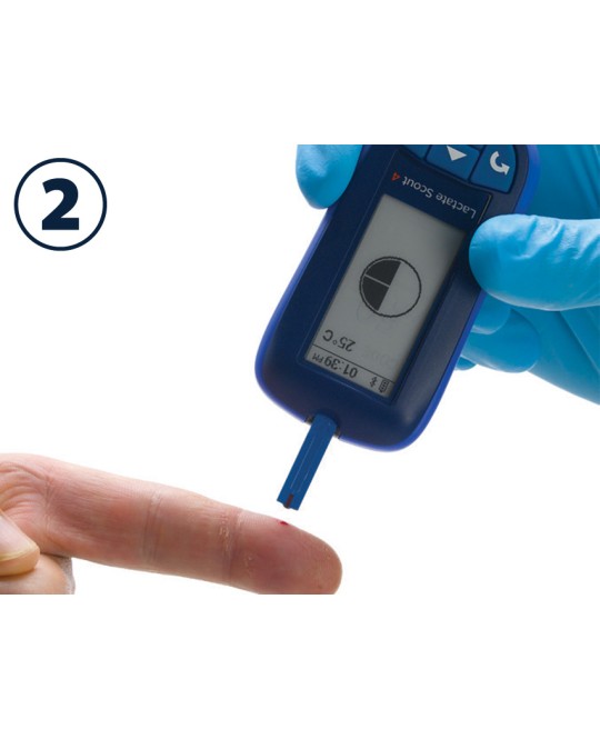 LACTATE SCOUT 4