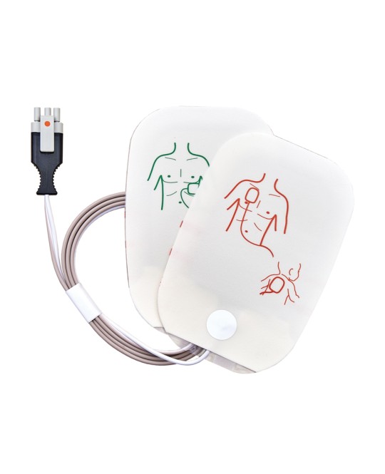 SAVE PADS+CAVO-in >8 anni per 33384/5 fino a S.N. 738XXXXXXX