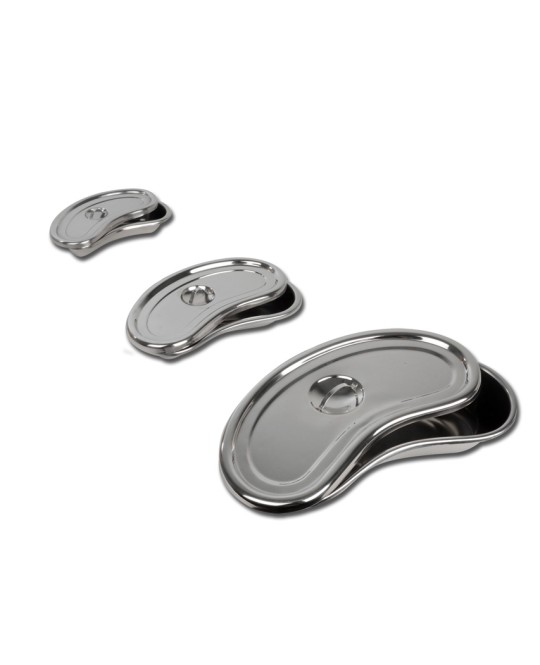 BACINELLA REN. CON COPERCHIO 247x122x43 mm