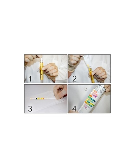 COMBI SCREEN 5SYS - 5 parametri