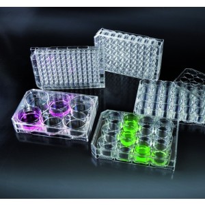 Piastre Multipozzetto n24 Per Colture Cellulari (Trattate)