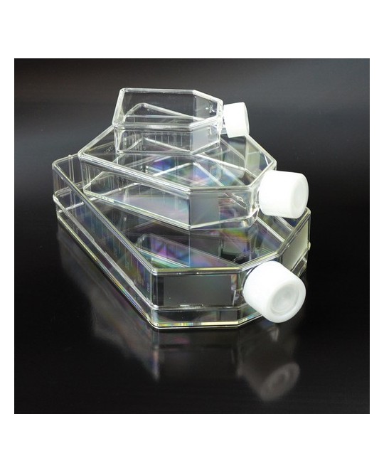 Fiasche Non Trattate 20ml per Colture Cellulari