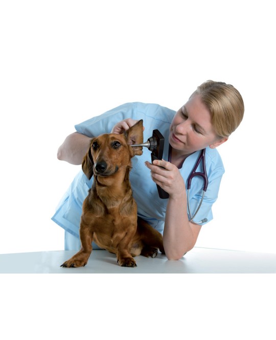 VIDEOTOSCOPIO MD SCOPE VETERINARIA - con 3 sonde
