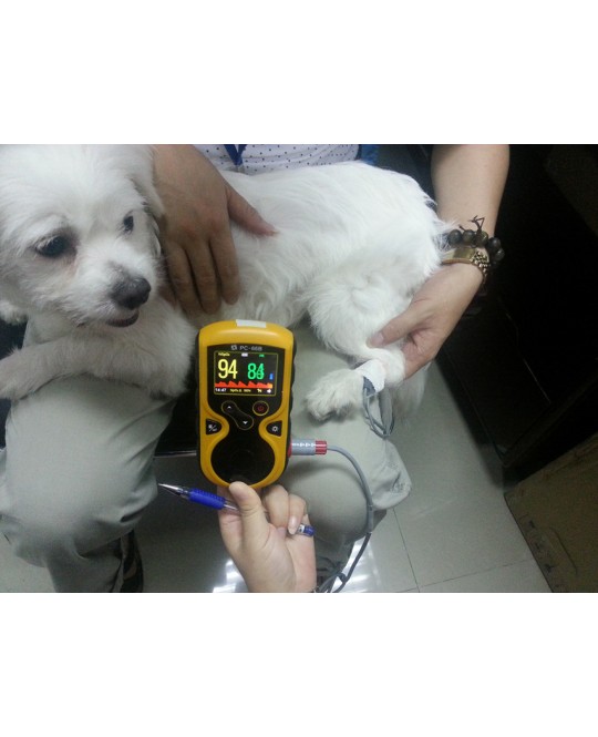 PULSOXIMETRO OXY-100 VETERINARIA