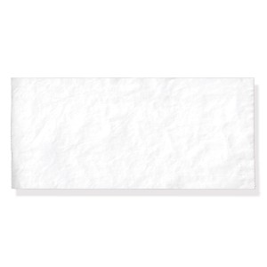 CARTA PER COSMED PONY FX 112x13 mm