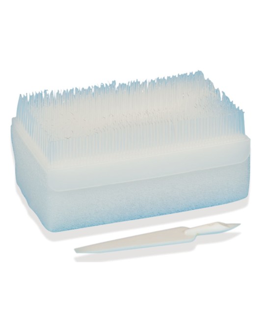 KIT SPAZZOLA CLOREXIDINA - pack multilingue