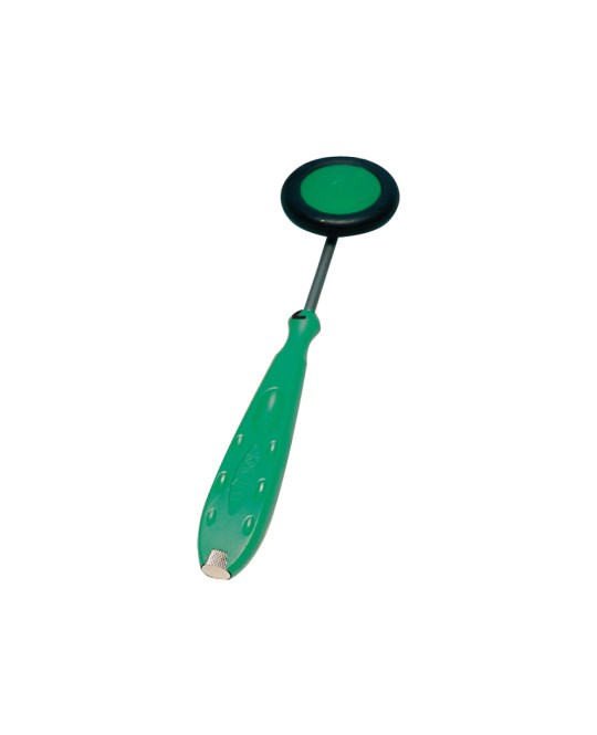 MARTELLO NEUROLOGICO 